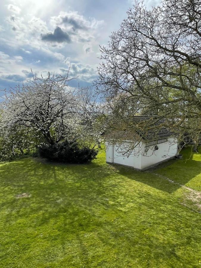 Kleines Haus Am Feld Villa Rehna Eksteriør billede